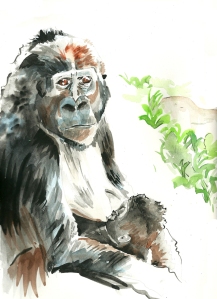 Nursing Gorilla (watercolor)
