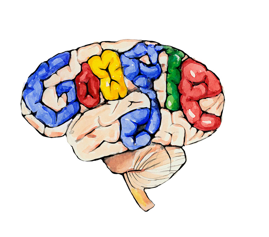 google, brain, brain imprinting, search function, internet search, search engine
